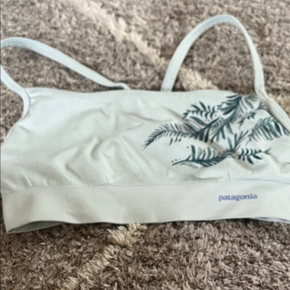 Patagonia Women's Fern Print Sports Bra